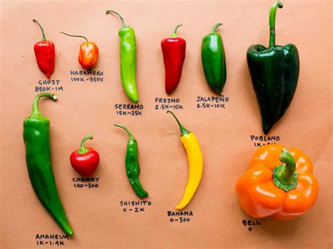 chili pepper vs red pepper